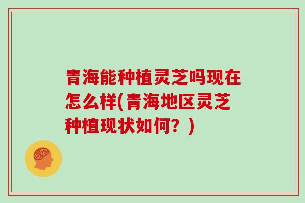 青海能种植灵芝吗现在怎么样(青海地区灵芝种植现状如何?)