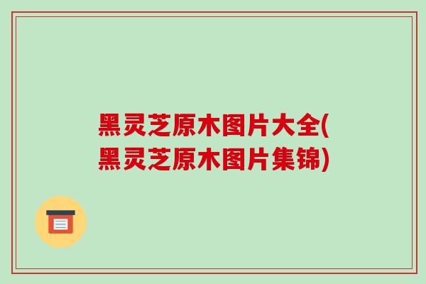 黑灵芝原木图片大全(黑灵芝原木图片集锦)