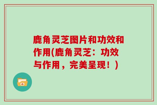 鹿角灵芝图片和功效和作用(鹿角灵芝:功效与作用,完美呈现!)