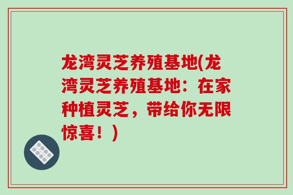 龙湾灵芝养殖基地(龙湾灵芝养殖基地:在家种植灵芝,带给你无限惊喜!)