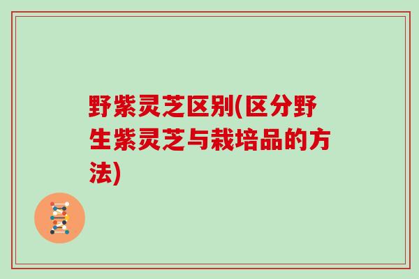 野紫灵芝区别(区分野生紫灵芝与栽培品的方法)