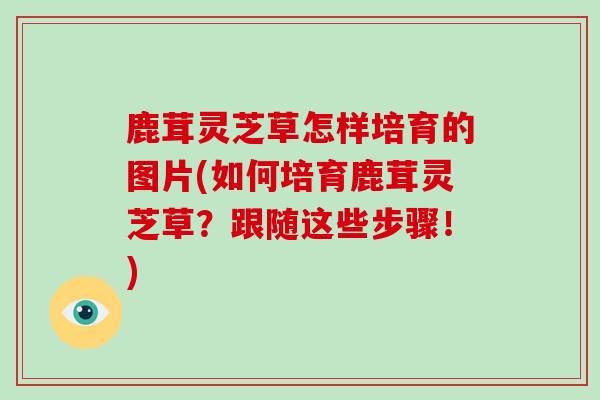 鹿茸灵芝草怎样培育的图片(如何培育鹿茸灵芝草？跟随这些步骤！)