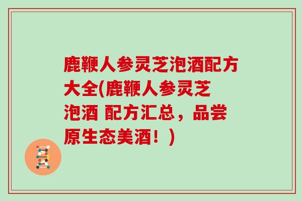 鹿鞭人参灵芝泡酒配方大全(鹿鞭人参灵芝 泡酒 配方汇总,品尝原生态美酒!)