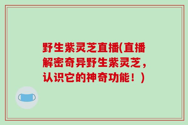 野生紫灵芝直播(直播解密奇异野生紫灵芝,认识它的神奇功能!)