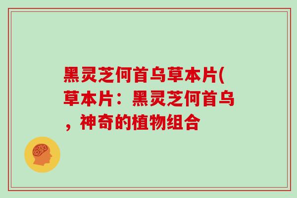 黑灵芝何首乌草本片(草本片:黑灵芝何首乌,神奇的植物组合