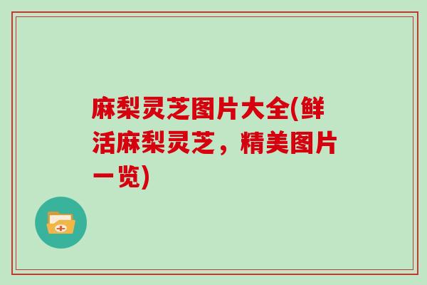 麻梨灵芝图片大全(鲜活麻梨灵芝，精美图片一览)