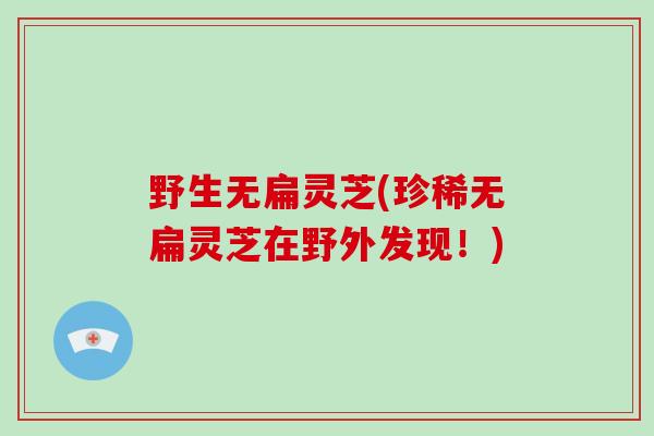 野生无扁灵芝(珍稀无扁灵芝在野外发现!)