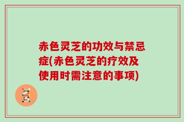 赤色灵芝的功效与禁忌症(赤色灵芝的疗效及使用时需注意的事项)