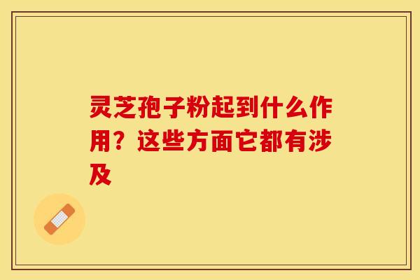 灵芝孢子粉起到什么作用?这些方面它都有涉及