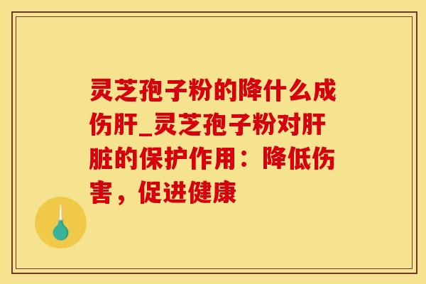 灵芝孢子粉的降什么成伤肝_灵芝孢子粉对肝脏的保护作用:降低伤害,促进健康