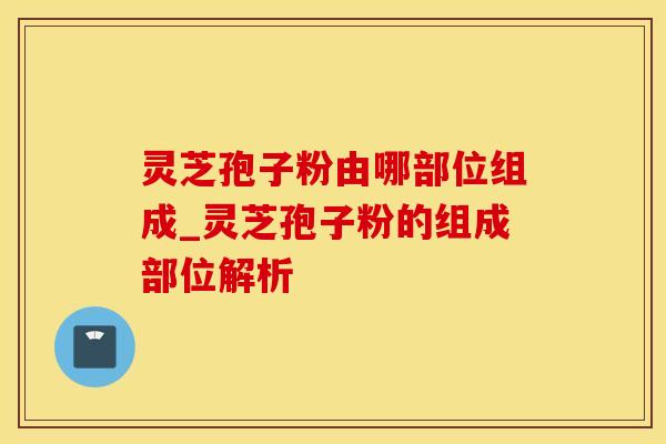 灵芝孢子粉由哪部位组成_灵芝孢子粉的组成部位解析