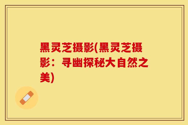 黑灵芝摄影(黑灵芝摄影:寻幽探秘大自然之美)