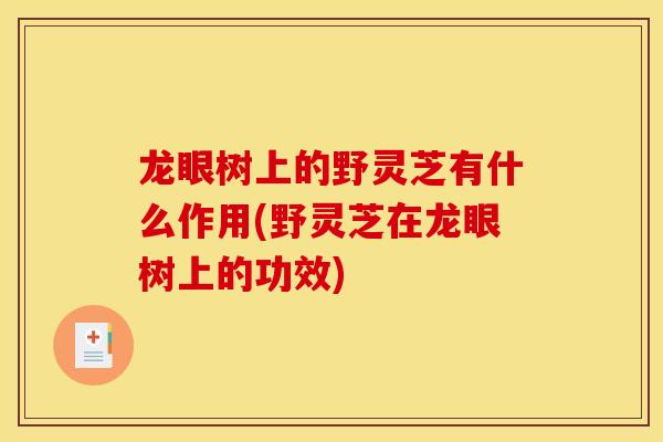 龙眼树上的野灵芝有什么作用(野灵芝在龙眼树上的功效)