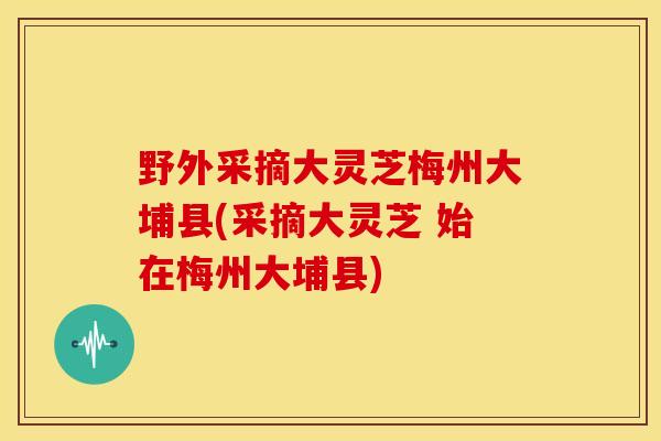 野外采摘大灵芝梅州大埔县(采摘大灵芝 始在梅州大埔县)