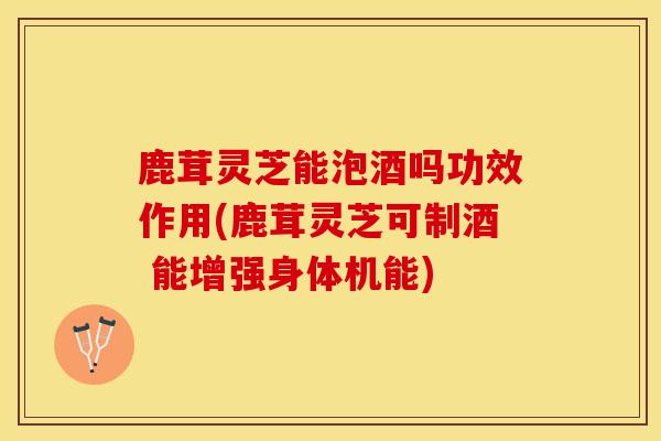鹿茸灵芝能泡酒吗功效作用(鹿茸灵芝可制酒 能增强身体机能)