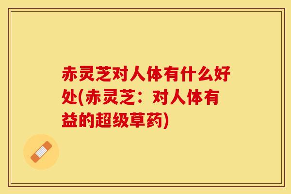 赤灵芝对人体有什么好处(赤灵芝：对人体有益的超级草药)
