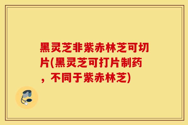 黑灵芝非紫赤林芝可切片(黑灵芝可打片制药,不同于紫赤林芝)