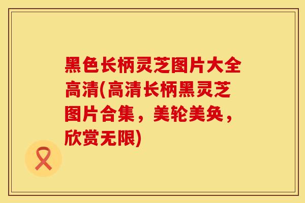 黑色长柄灵芝图片大全高清(高清长柄黑灵芝图片合集,美轮美奂,欣赏无限)