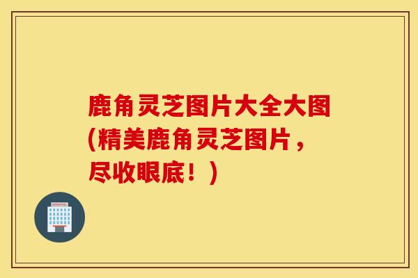 鹿角灵芝图片大全大图(精美鹿角灵芝图片,尽收眼底!)