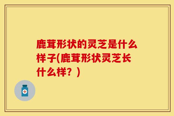 鹿茸形状的灵芝是什么样子(鹿茸形状灵芝长什么样?)