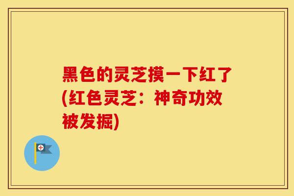 黑色的灵芝摸一下红了(红色灵芝：神奇功效被发掘)