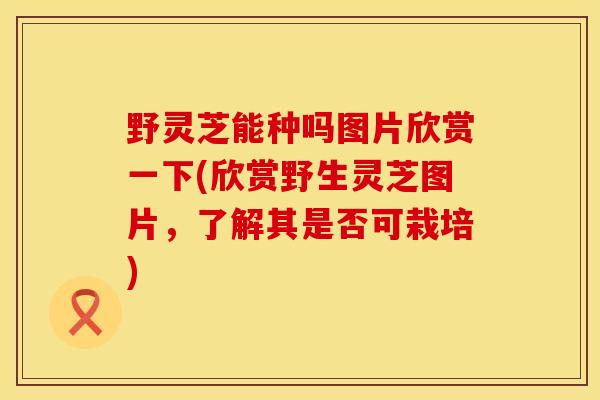 野灵芝能种吗图片欣赏一下(欣赏野生灵芝图片，了解其是否可栽培)