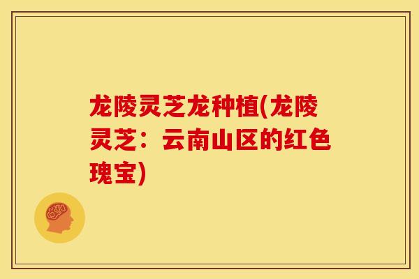 龙陵灵芝龙种植(龙陵灵芝:云南山区的红色瑰宝)