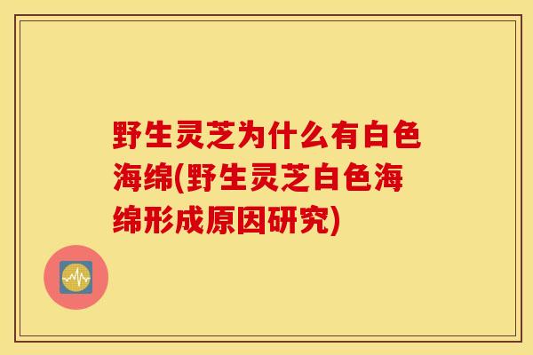 野生灵芝为什么有白色海绵(野生灵芝白色海绵形成原因研究)
