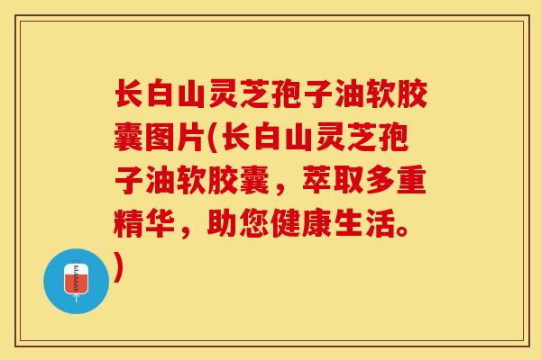长白山灵芝孢子油软胶囊图片(长白山灵芝孢子油软胶囊,萃取多重精华,助您健康生活。)