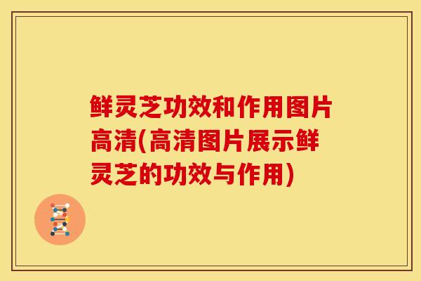 鲜灵芝功效和作用图片高清(高清图片展示鲜灵芝的功效与作用)