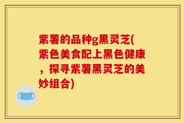 紫薯的品种g黑灵芝(紫色美食配上黑色健康,探寻紫薯黑灵芝的美妙组合)