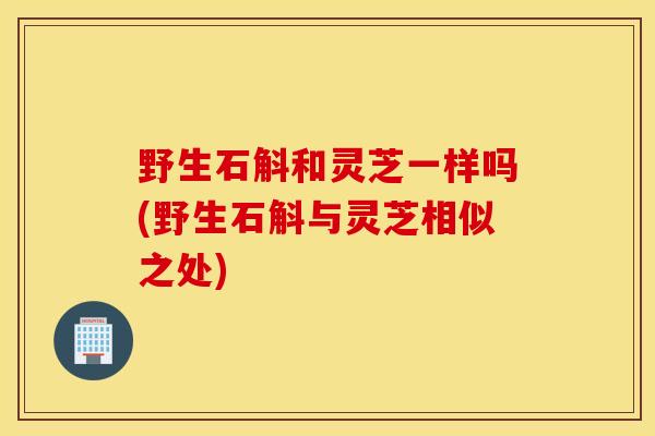野生石斛和灵芝一样吗(野生石斛与灵芝相似之处)