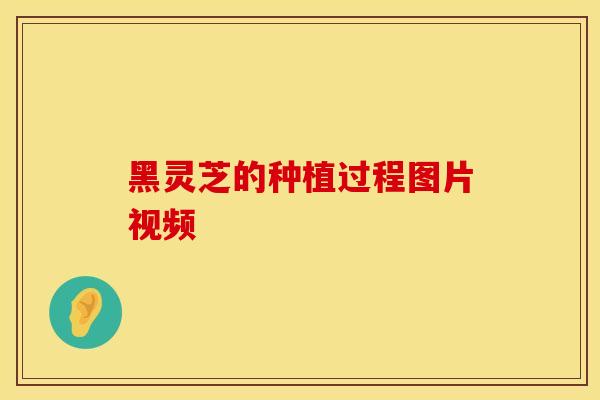 黑灵芝的种植过程图片视频