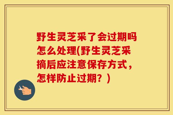 野生灵芝采了会过期吗怎么处理(野生灵芝采摘后应注意保存方式,怎样防止过期?)