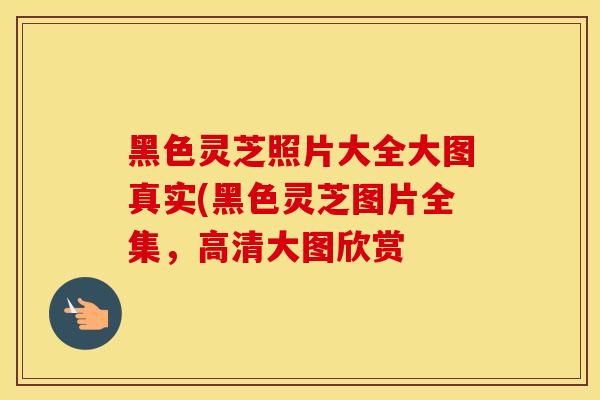 黑色灵芝照片大全大图真实(黑色灵芝图片全集,高清大图欣赏
