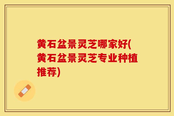 黄石盆景灵芝哪家好(黄石盆景灵芝专业种植推荐)