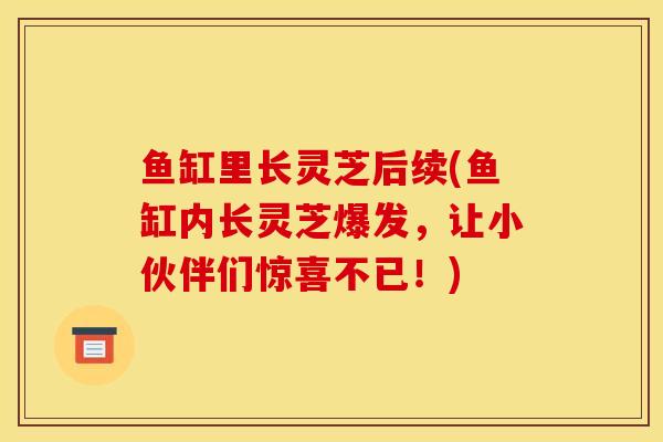 鱼缸里长灵芝后续(鱼缸内长灵芝爆发，让小伙伴们惊喜不已！)