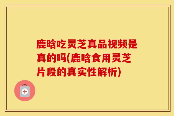 鹿晗吃灵芝真品视频是真的吗(鹿晗食用灵芝片段的真实性解析)