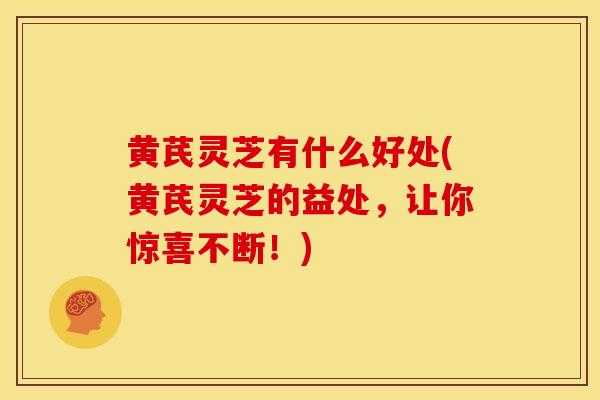 黄芪灵芝有什么好处(黄芪灵芝的益处,让你惊喜不断!)
