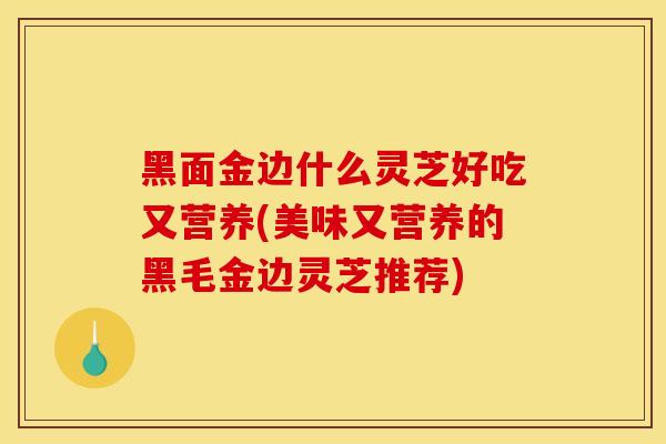 黑面金边什么灵芝好吃又营养(美味又营养的黑毛金边灵芝推荐)