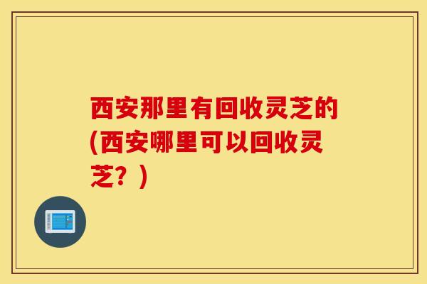 西安那里有回收灵芝的(西安哪里可以回收灵芝？)