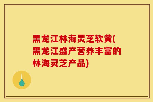 黑龙江林海灵芝软黄(黑龙江盛产营养丰富的林海灵芝产品)