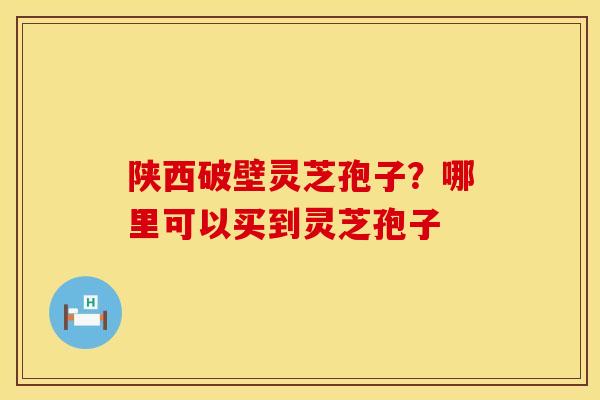 陕西破壁灵芝孢子?哪里可以买到灵芝孢子