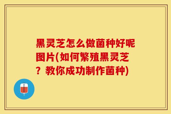 黑灵芝怎么做菌种好呢图片(如何繁殖黑灵芝？教你成功制作菌种)