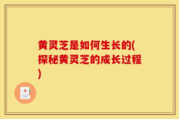 黄灵芝是如何生长的(探秘黄灵芝的成长过程)