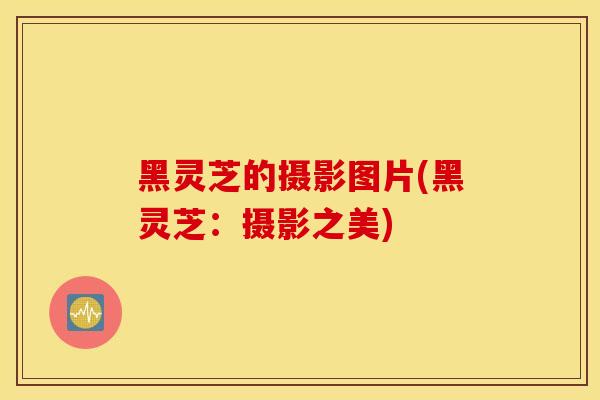 黑灵芝的摄影图片(黑灵芝：摄影之美)