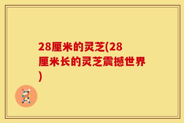 28厘米的灵芝(28厘米长的灵芝震撼世界)