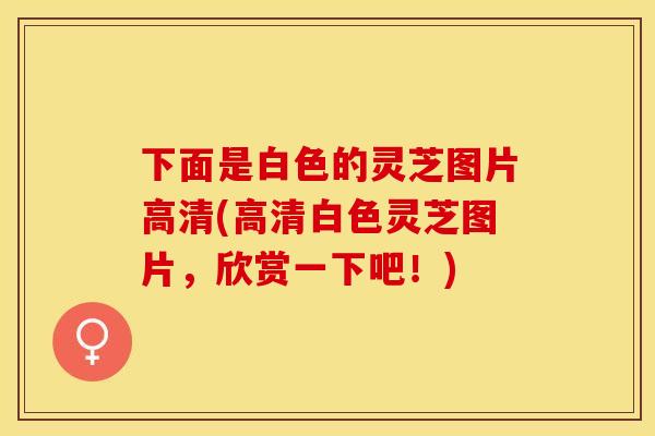 下面是白色的灵芝图片高清(高清白色灵芝图片，欣赏一下吧！)
