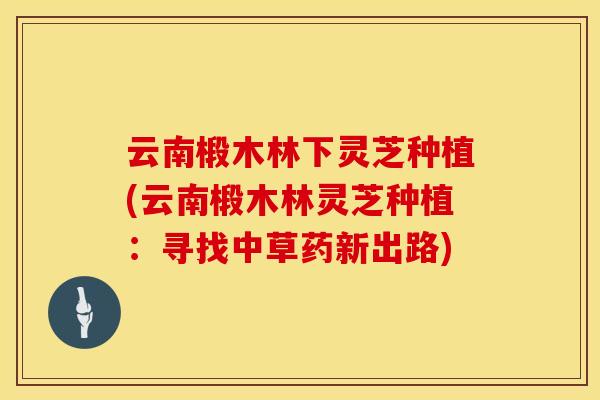 云南椴木林下灵芝种植(云南椴木林灵芝种植：寻找中草药新出路)