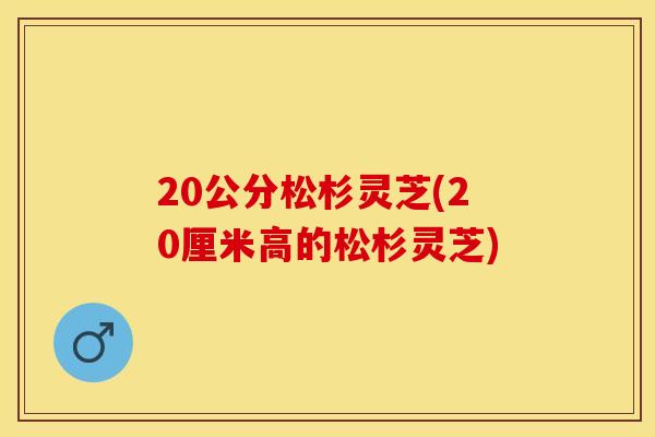20公分松杉灵芝(20厘米高的松杉灵芝)